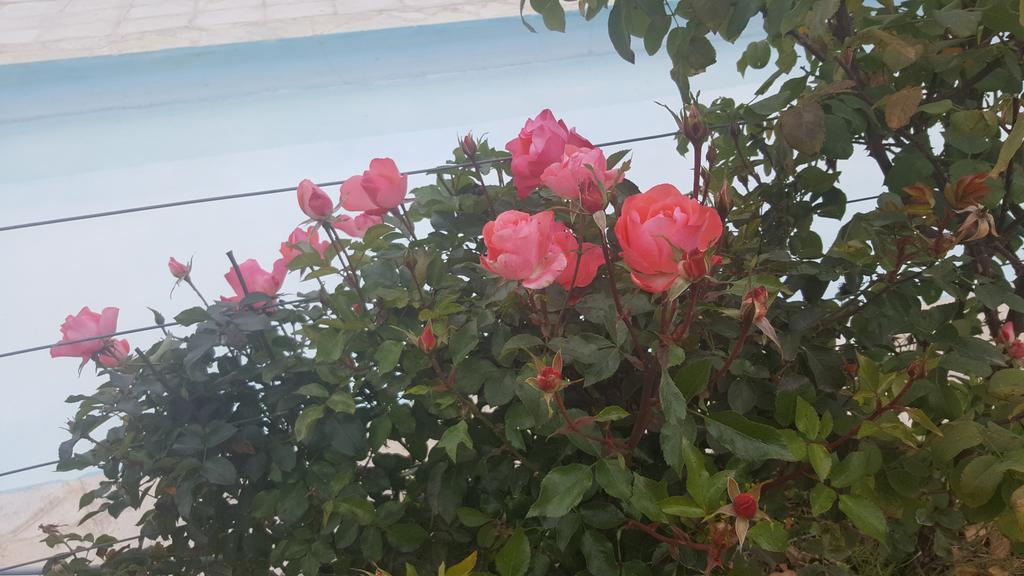 Finca Los Almendros Otel Tunuyán Dış mekan fotoğraf