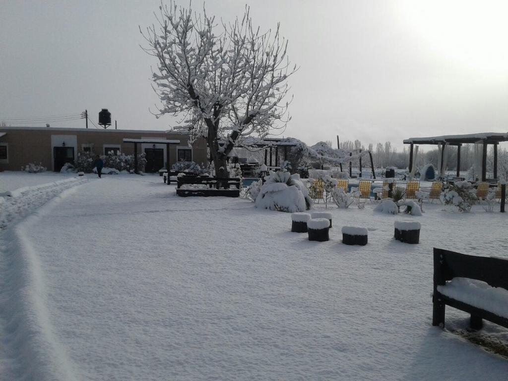 Finca Los Almendros Otel Tunuyán Dış mekan fotoğraf
