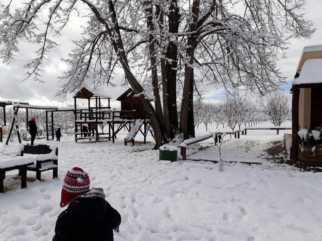 Finca Los Almendros Otel Tunuyán Dış mekan fotoğraf