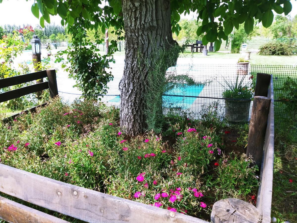 Finca Los Almendros Otel Tunuyán Dış mekan fotoğraf