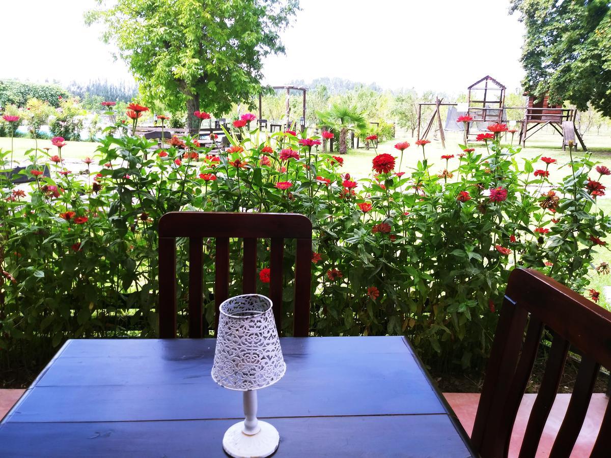 Finca Los Almendros Otel Tunuyán Dış mekan fotoğraf