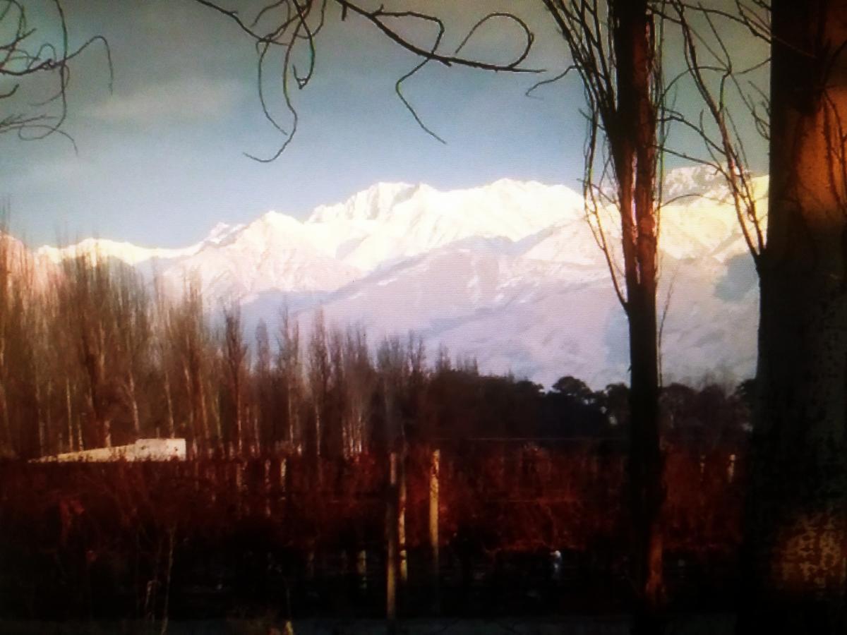 Finca Los Almendros Otel Tunuyán Dış mekan fotoğraf
